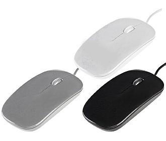 ���� �����