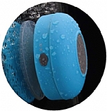 ����� ���� ���� ����